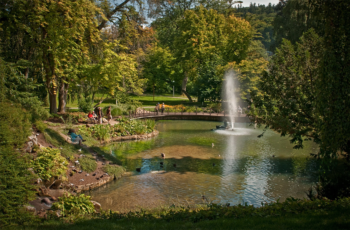Осень в парке. парк осенью 