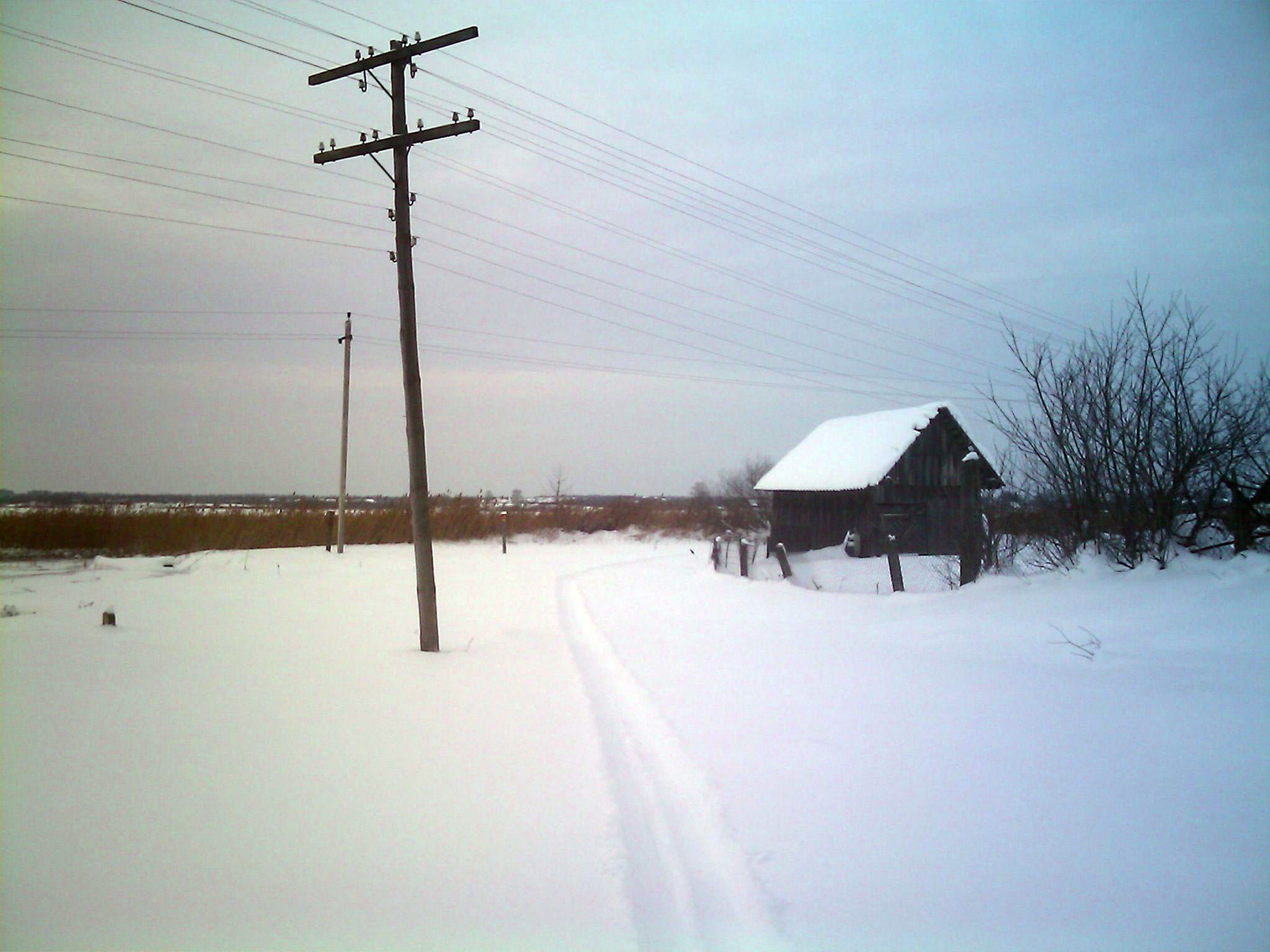 Лыжня 