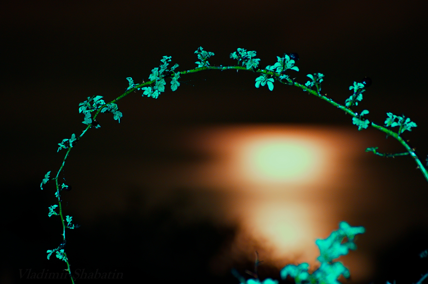 Лунное шоссе.* 