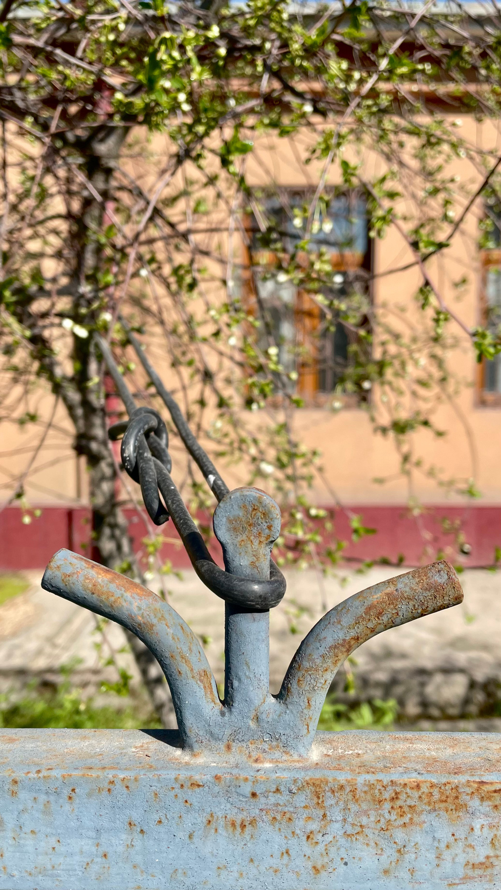 Узел Весна