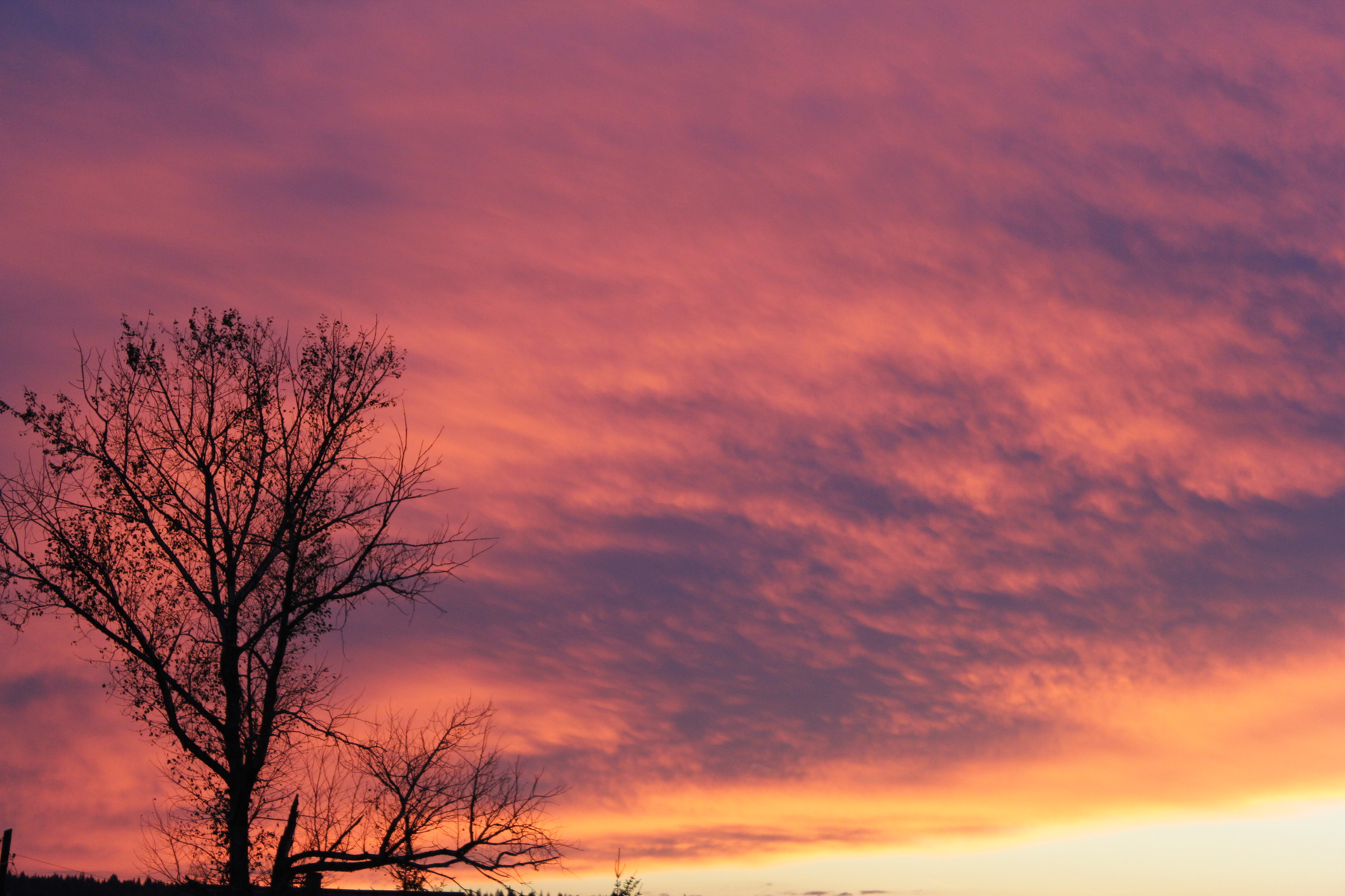 !!! 
