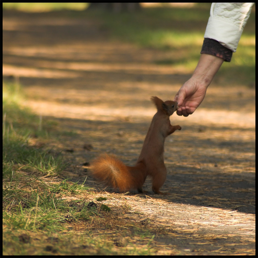 friendly 