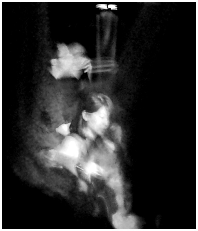 JAZZ 