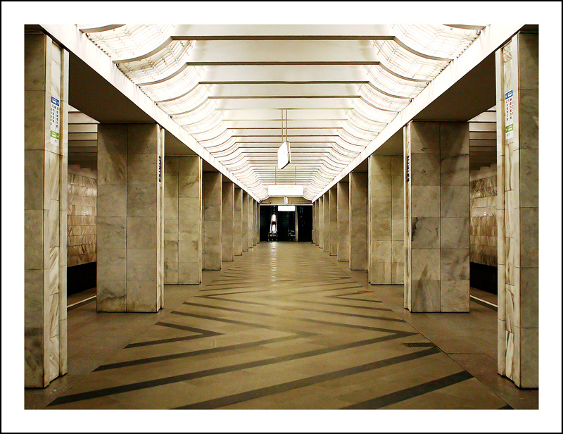 The Domodedovskaya Station 
