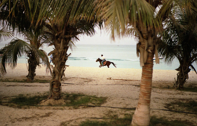 Persian gulf 