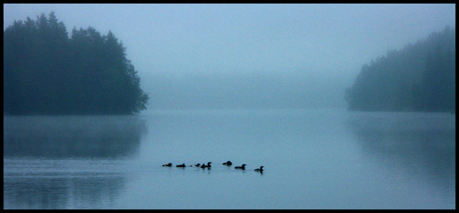Safe Travel in Fog 
