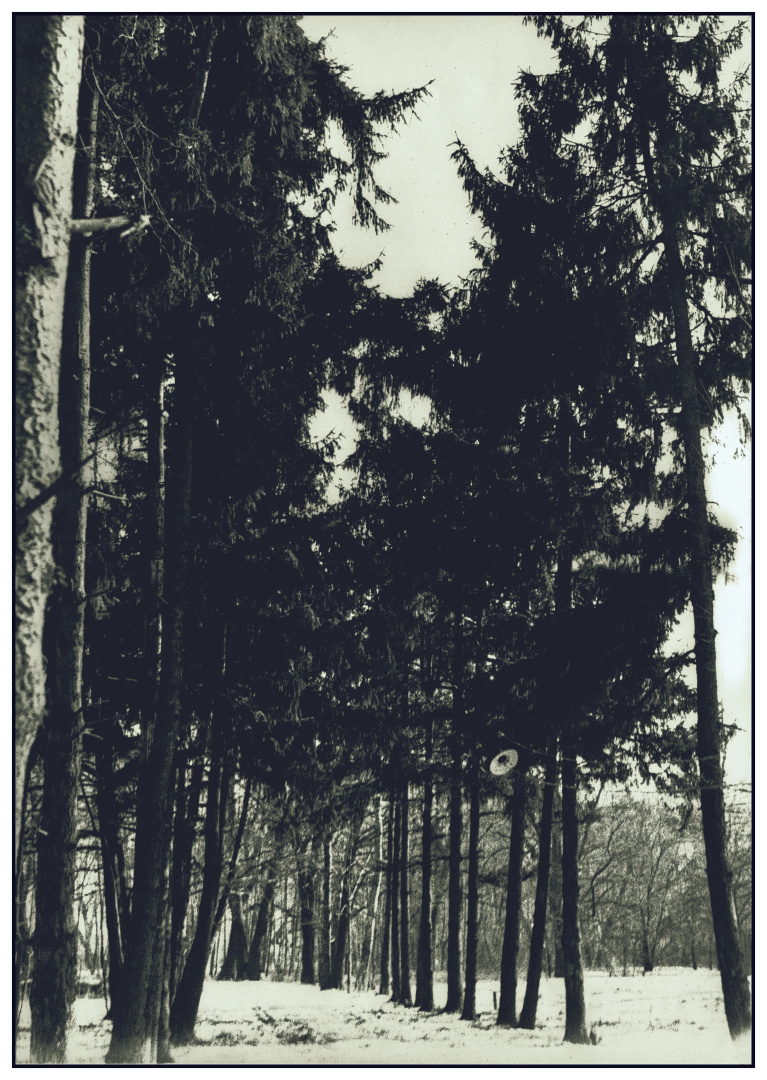 Нижний парк Липецк старая фотография