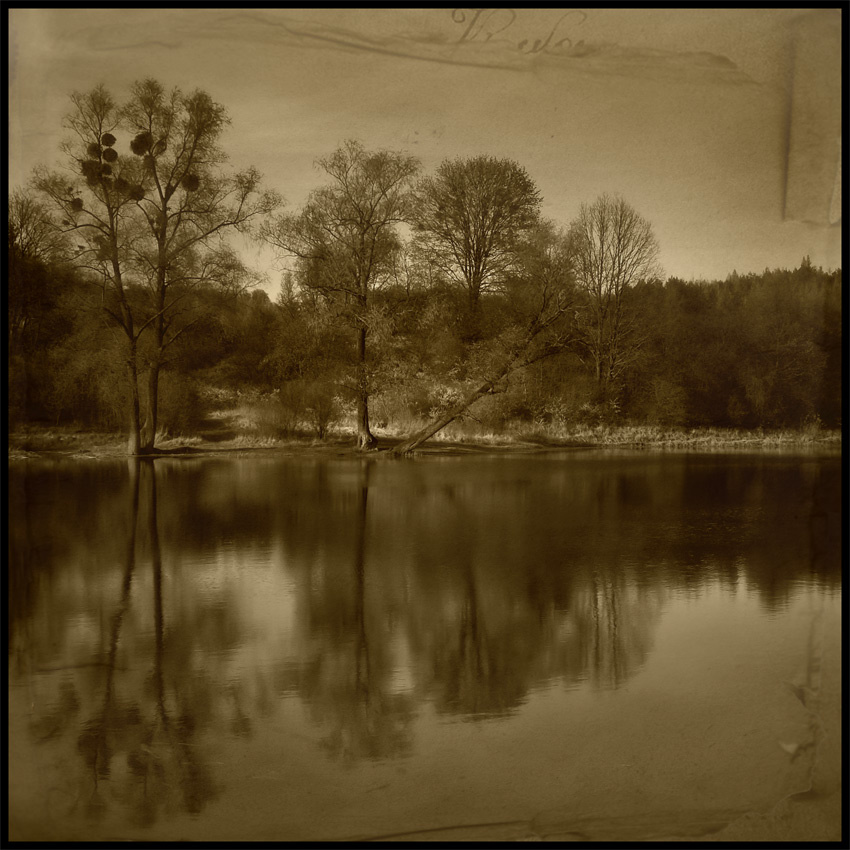 Sound of Silence 