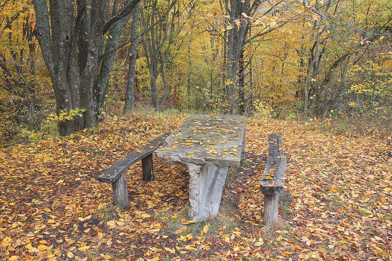 Осенняя остановка 
