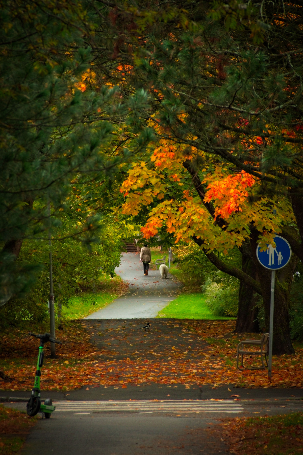 *** город Тампере Tampere