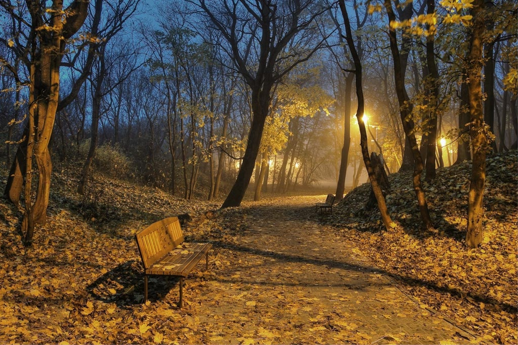 Осенний парк 
