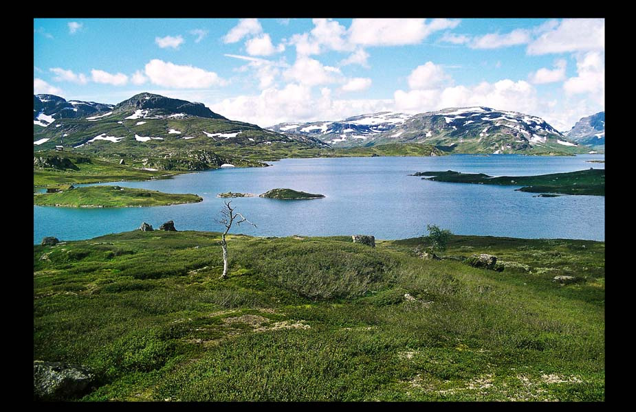 Западнее солнца восточней луны Norway Hardanger