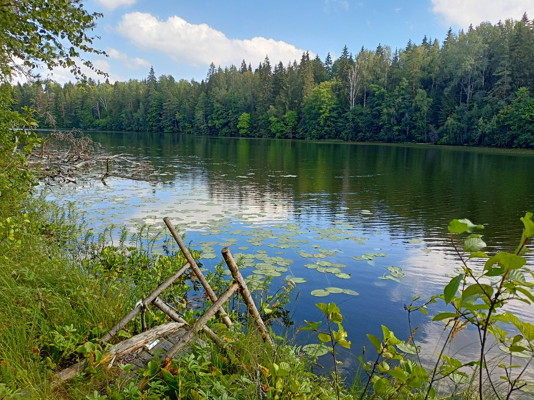 купальня озеро лес