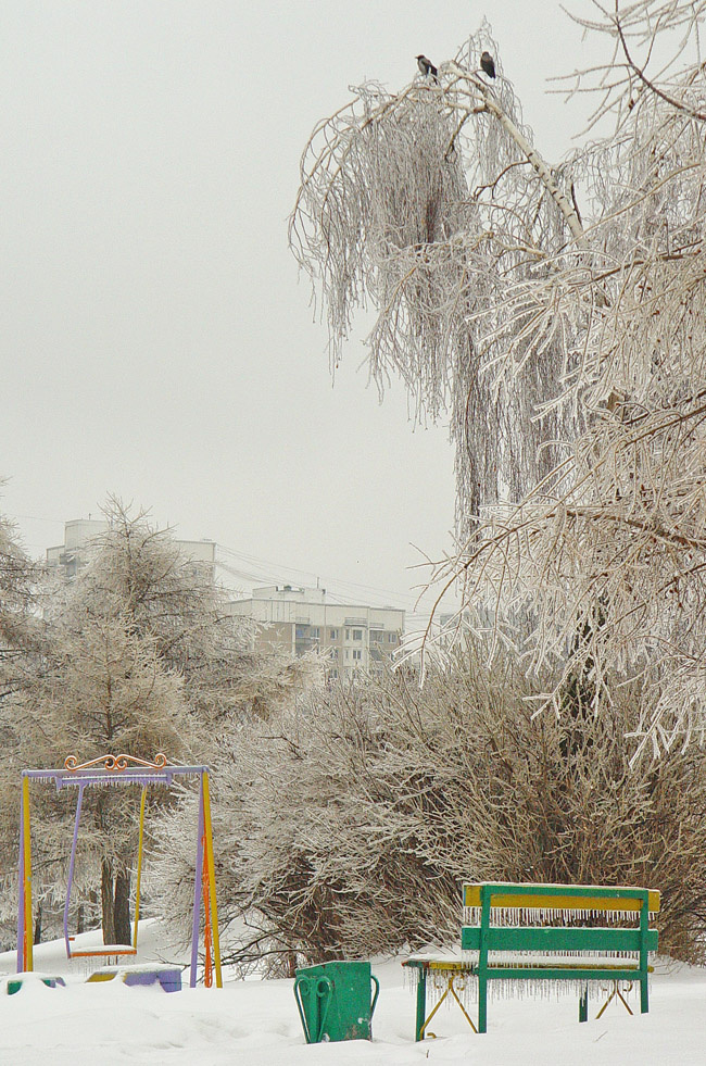 Был дождь,ледяной дождь,зима,ледяной