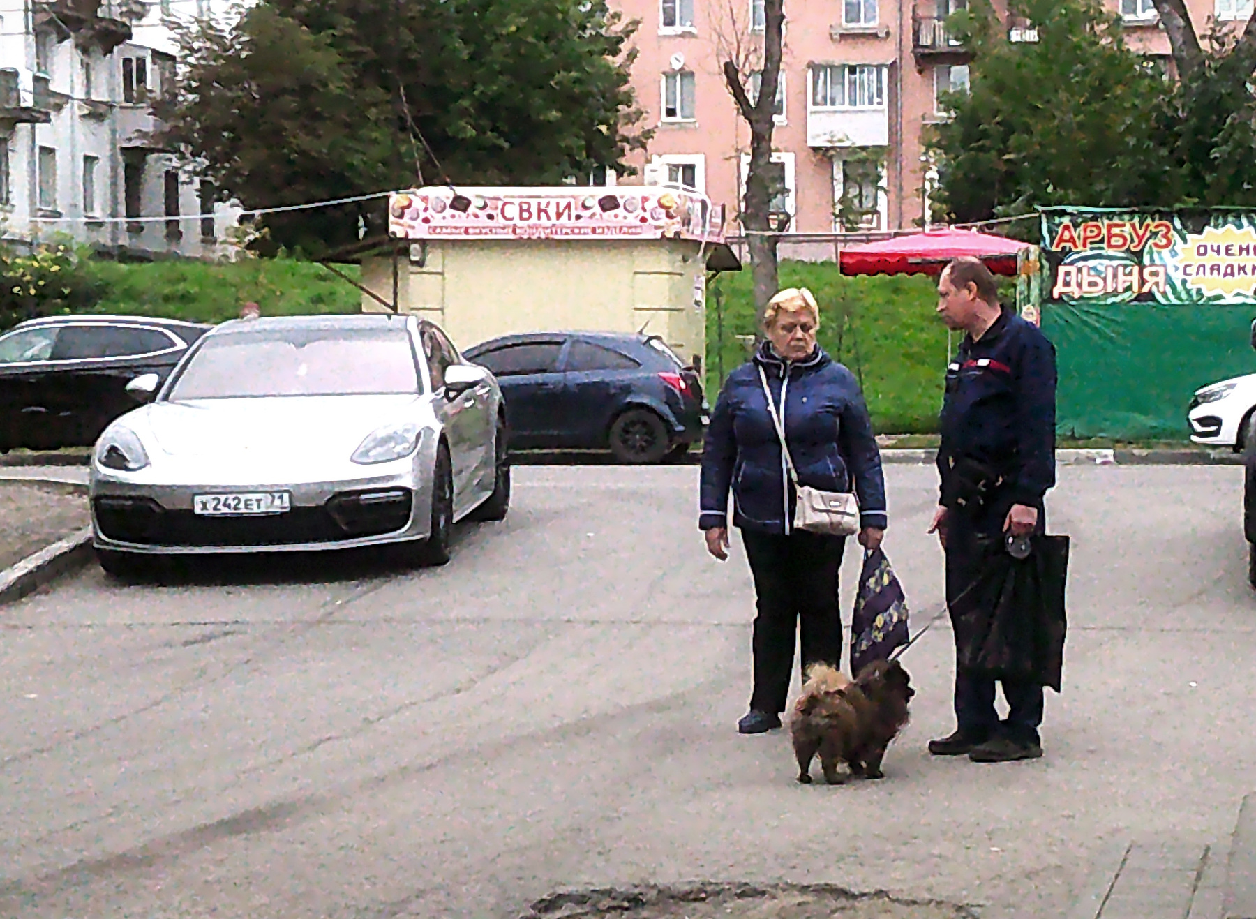 Не только дамы Дама мужчина собака улица город осень