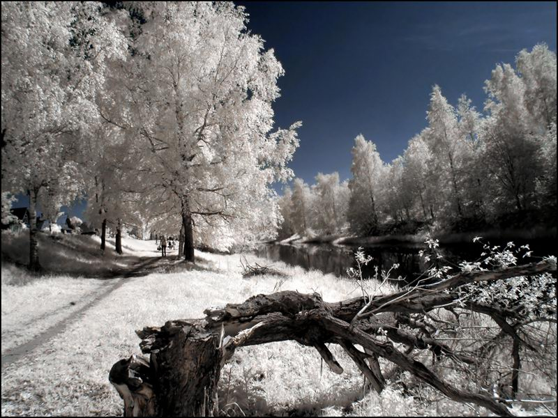 ir8 infrared шлиссельбург инфракрасная съёмка