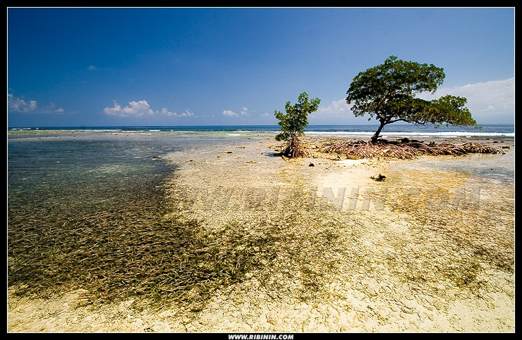 Когда сбываются мечты cayos cochinos island honduras