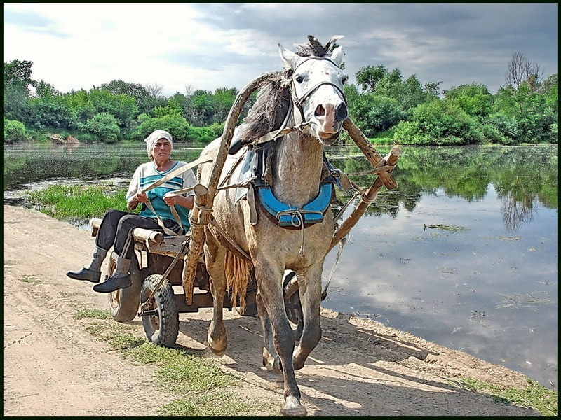  одна лошадиная сила 