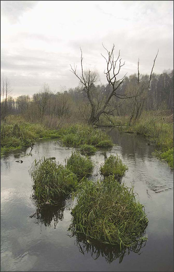 Ноябрь осень вода