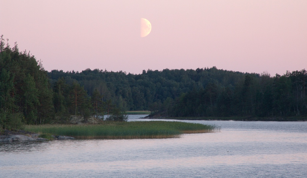 Лунная дорожка 