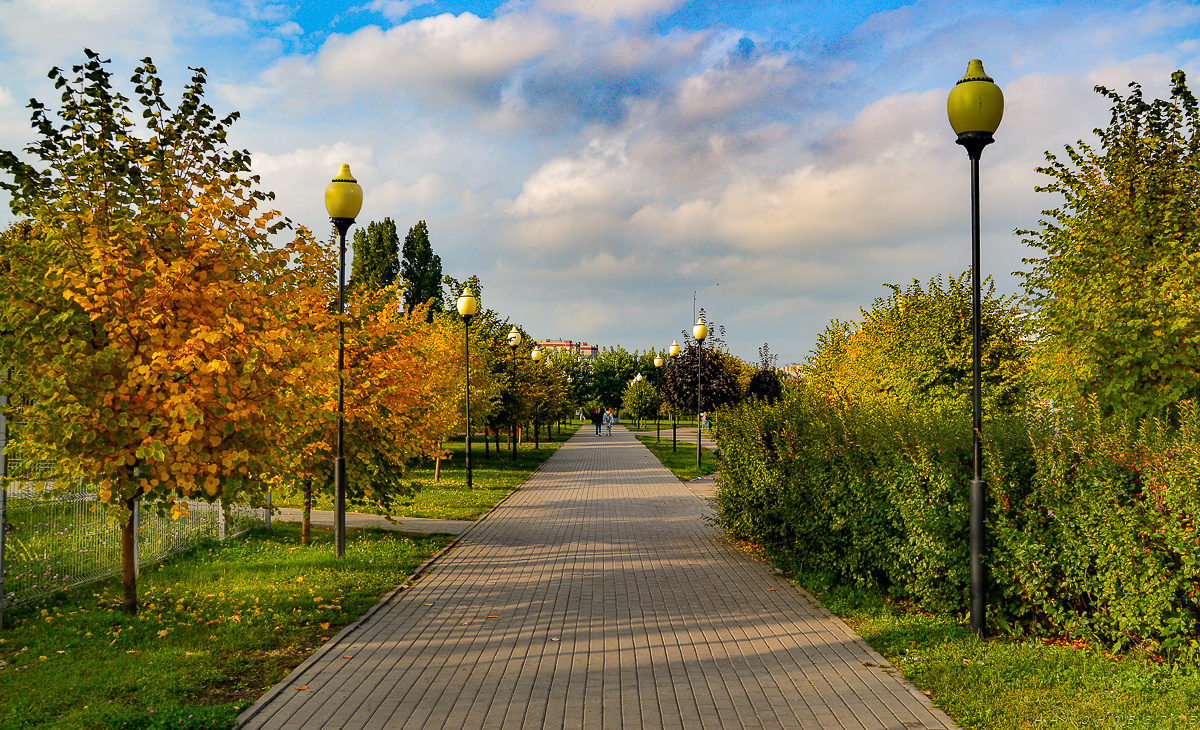 Ранняя осень. 