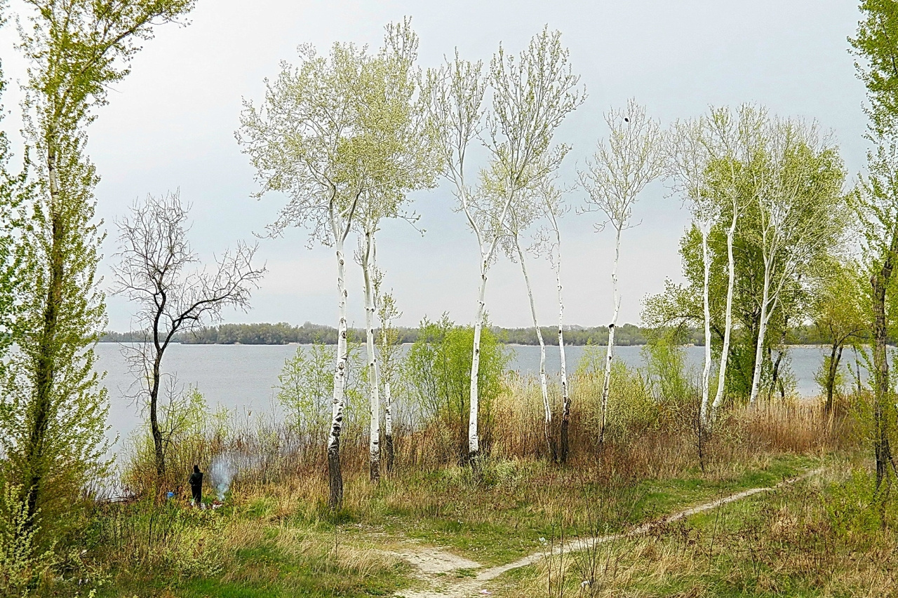 Апрельский день у реки весна природа река деревья
