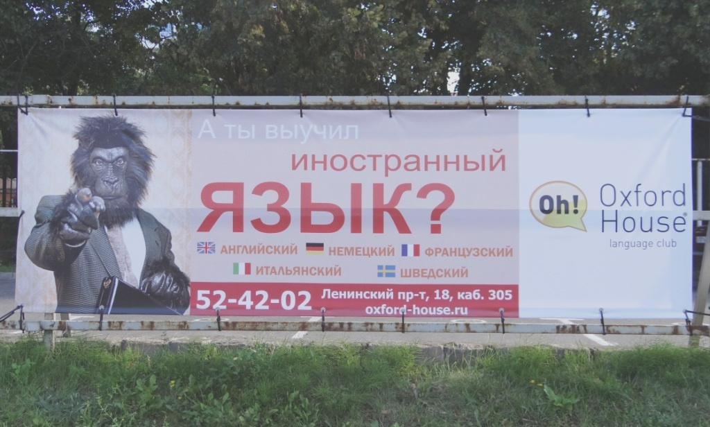 выучишь язык такой же обезьяной станешь 