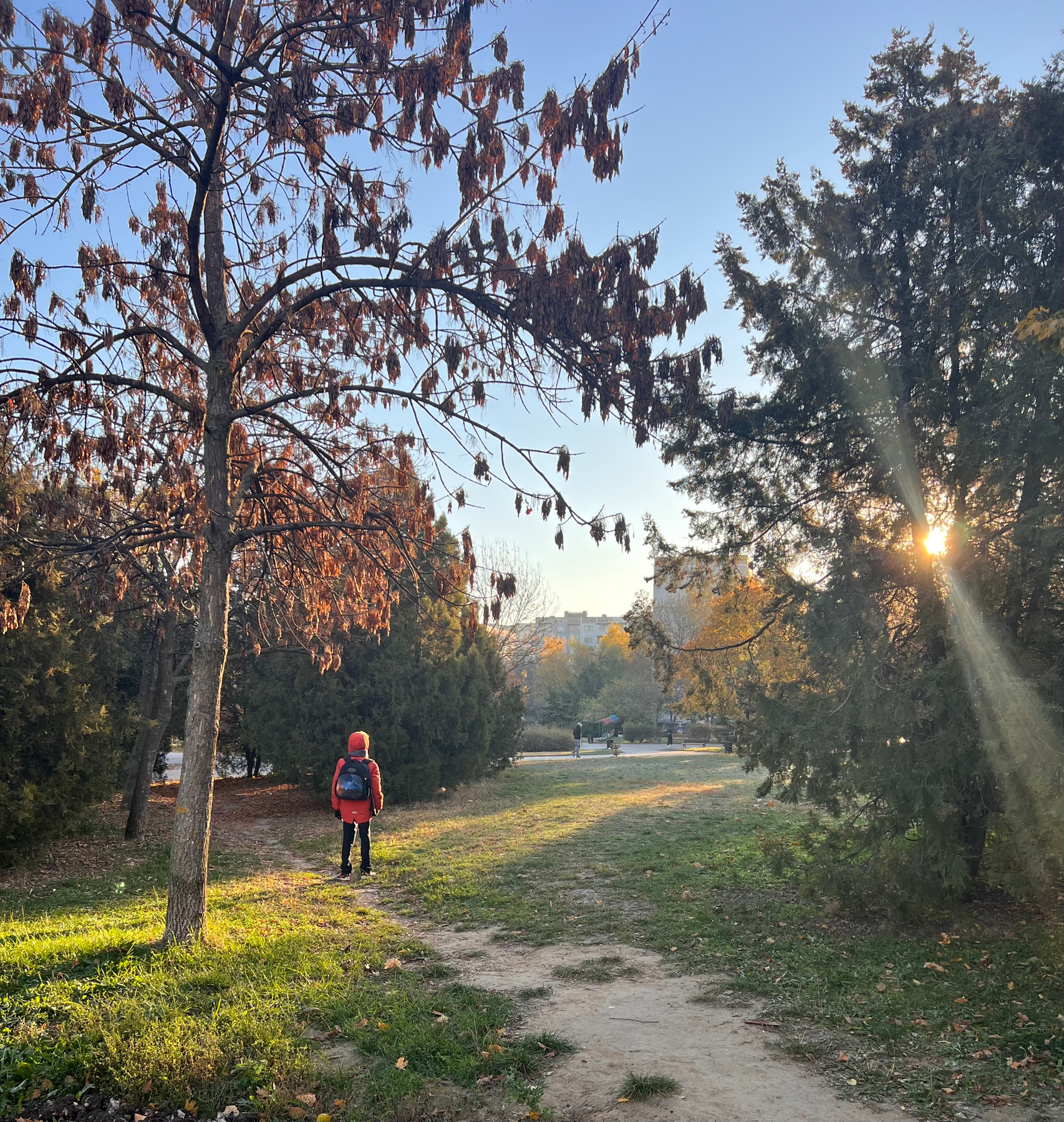 Осеннее утро 