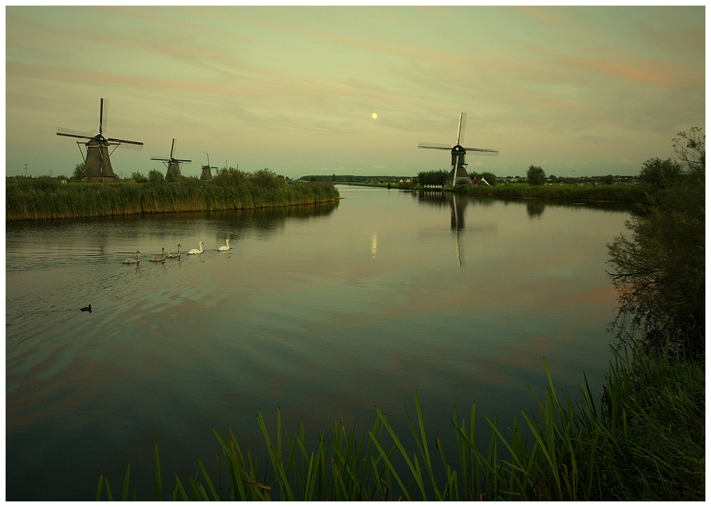 Гадкий  утёнок Вечер  небо  тучки  мельницы  канал  лебеди  луна  Kinderdijk Holland Nederlands