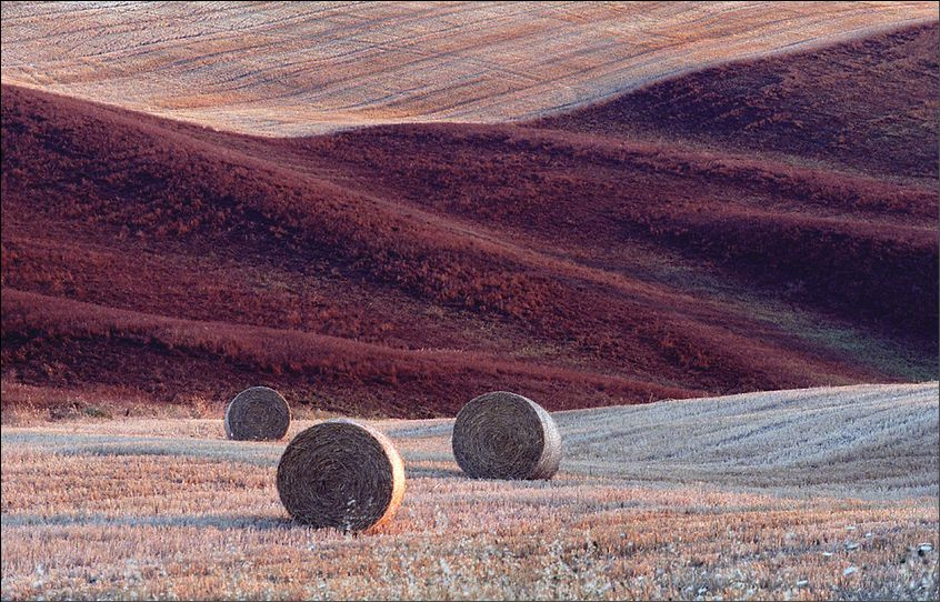 Сено-солома (Тосканские паттерны) Тоскана Пиенца сено роллы
