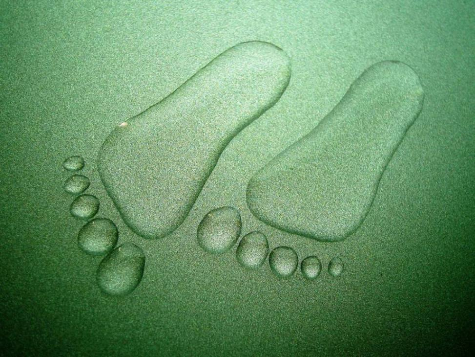 Водяные ножки вода, ноги