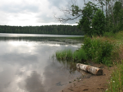 блаженство природа, озеро, вода,