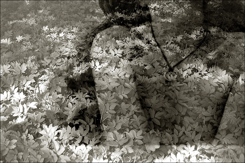 А листья, наверно, срисованы с женщин ? doubleExposure