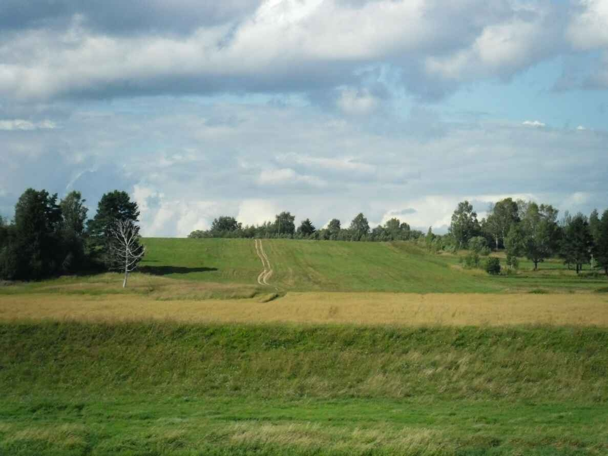 Дорога за рекой дорога, река, волга, зубцов