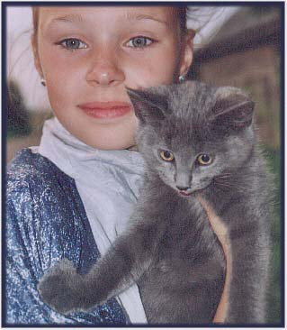 kotenok kotenok-котенок