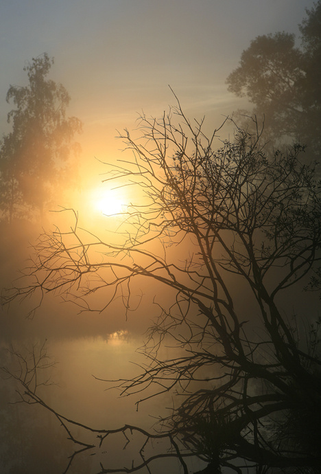 early in the morning... 