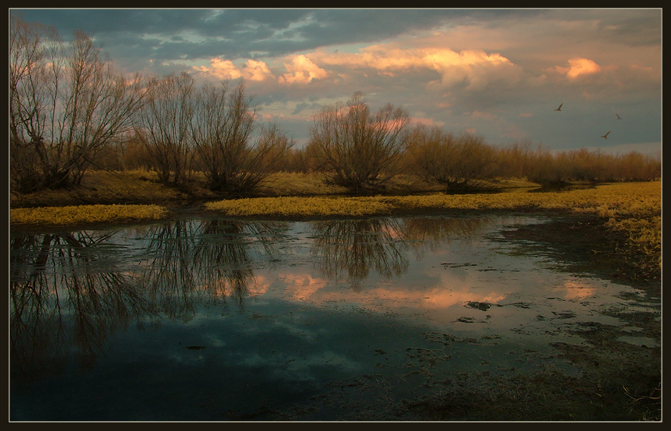 весенний расвет вода весна
