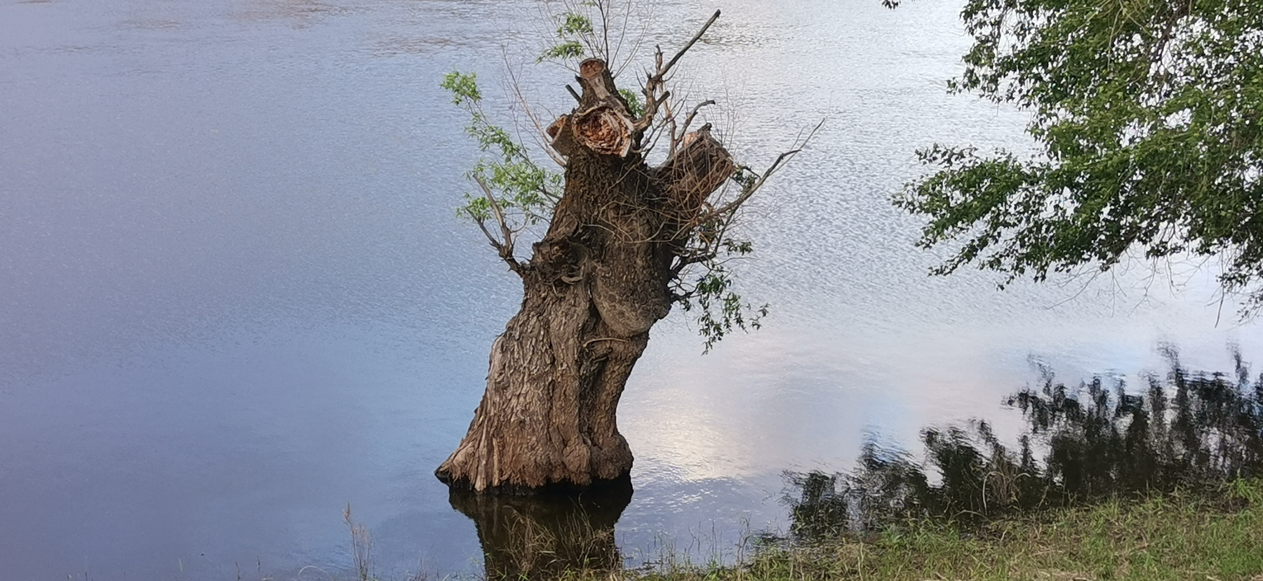 Я Водяной, я Водяной - никто не водится со мной... 