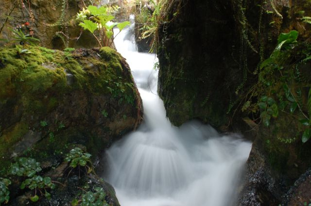 Водопад водопад вода тропики