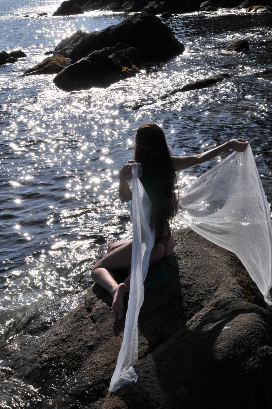 Fairy 
