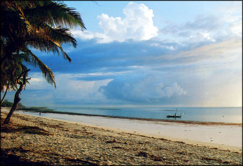 Low Tide 