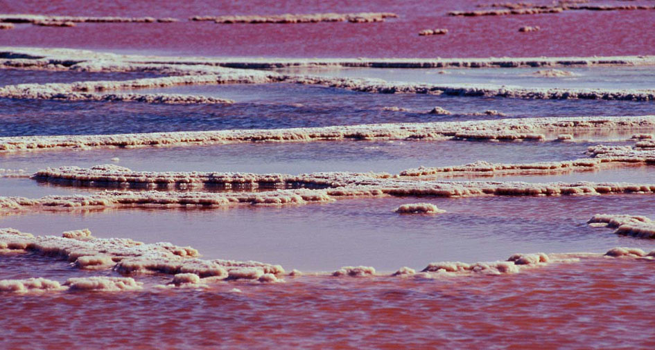 Dead Sea 9 