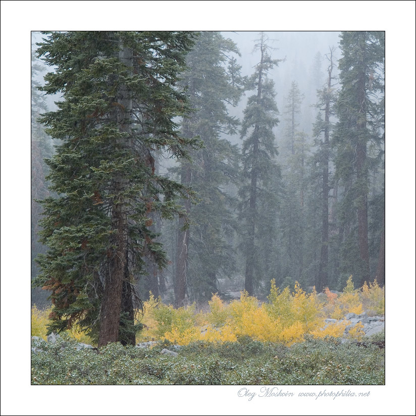 Приглашение в Тишину Yosemite California