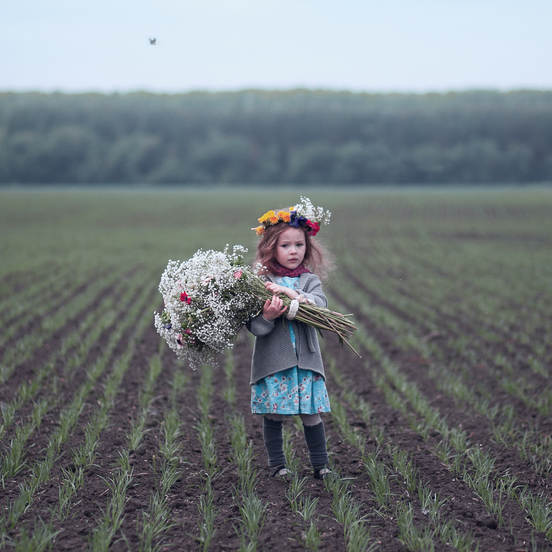 В поле 