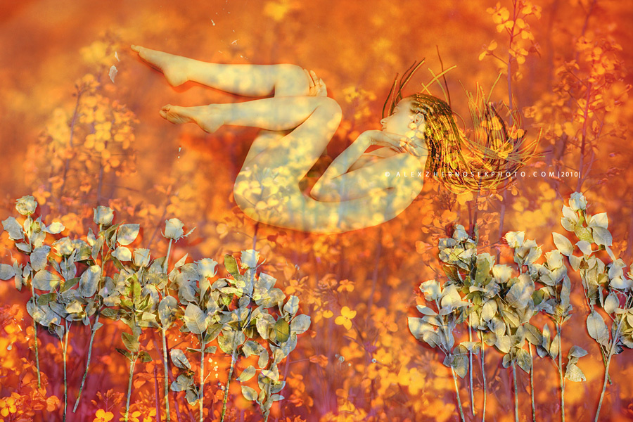 color dreams #0831 alex.zhernosek nude red dream