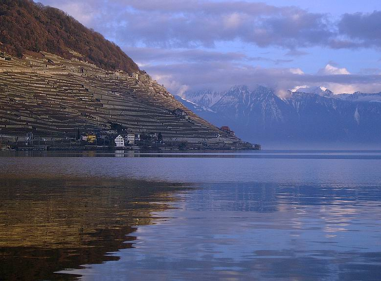 .. Cully - Suisse ... .. Cully .. Suisse ..
