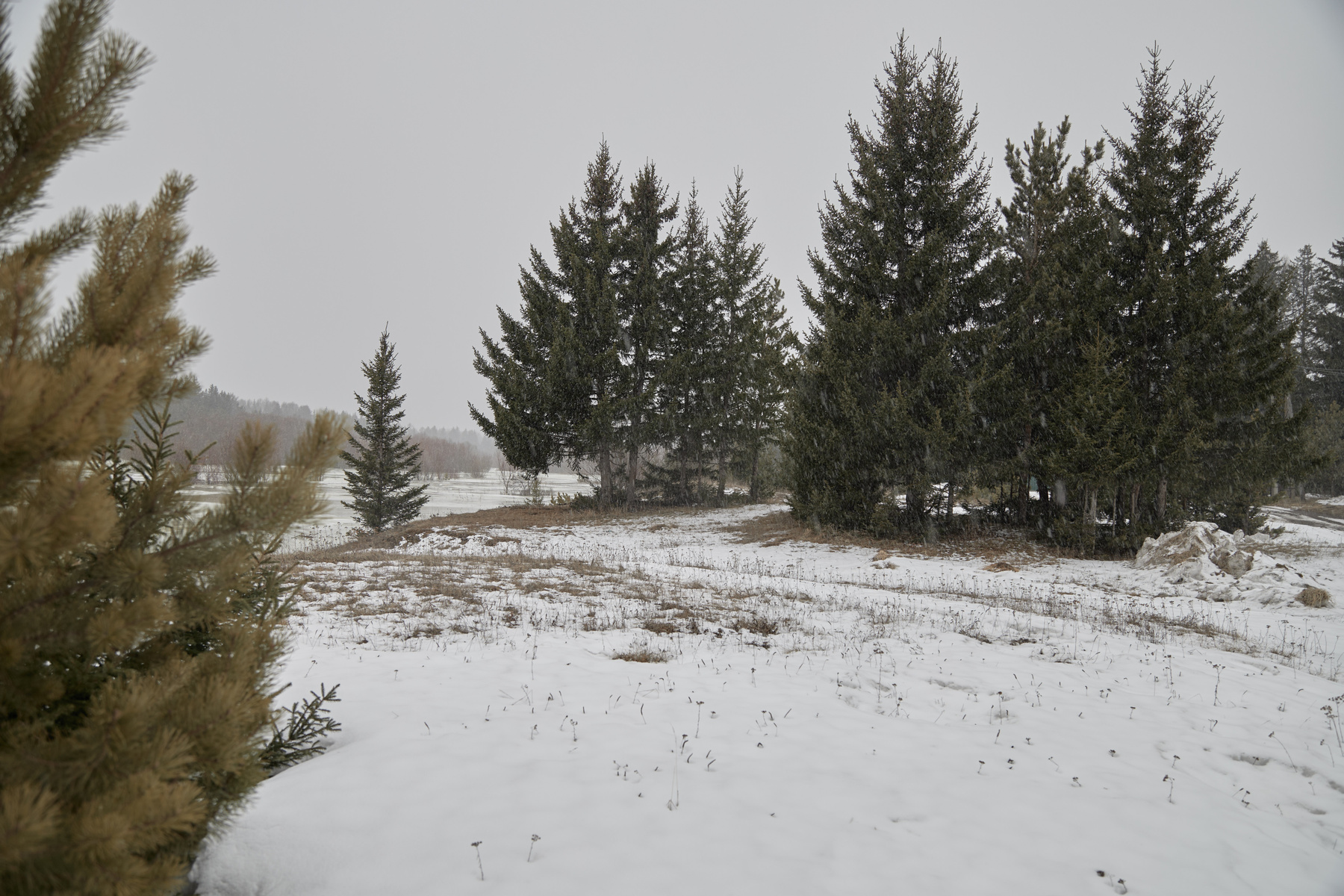 сирость Красноярск Кача