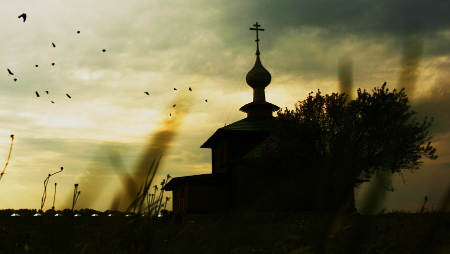 *** пейзаж, церковь трава church landscape