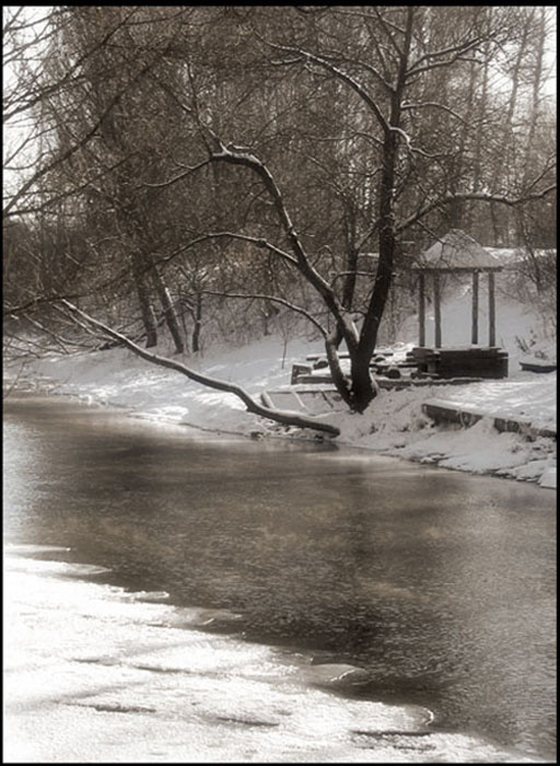 Old foto река, дерево, беседка