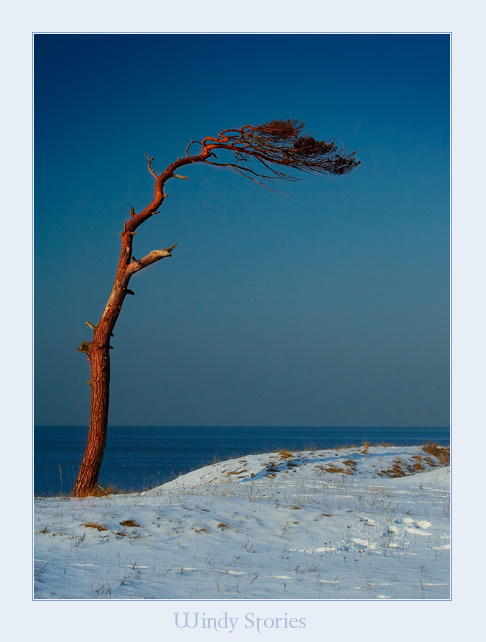 Windy Stories 